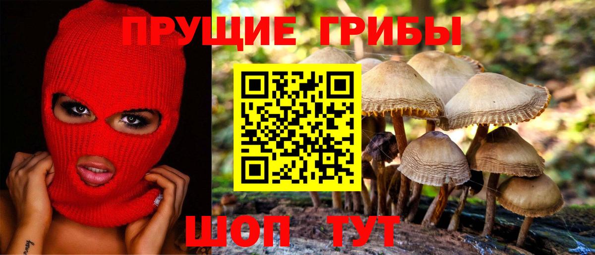 Псилоцибиновые грибы Cubensis  Вход с VPN  Сочи  Галлюциногенные грибы ЛСД 