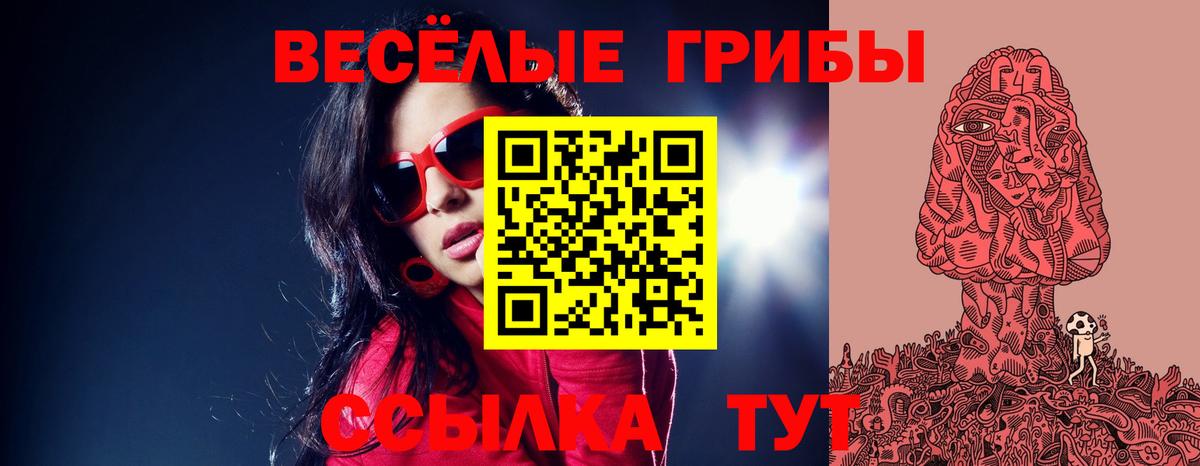 Псилоцибиновые грибы Cubensis Сочи
